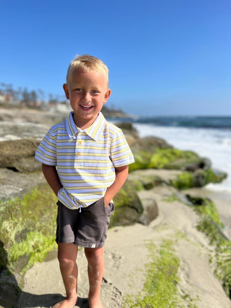 Hugo Twill Shorts | Grey