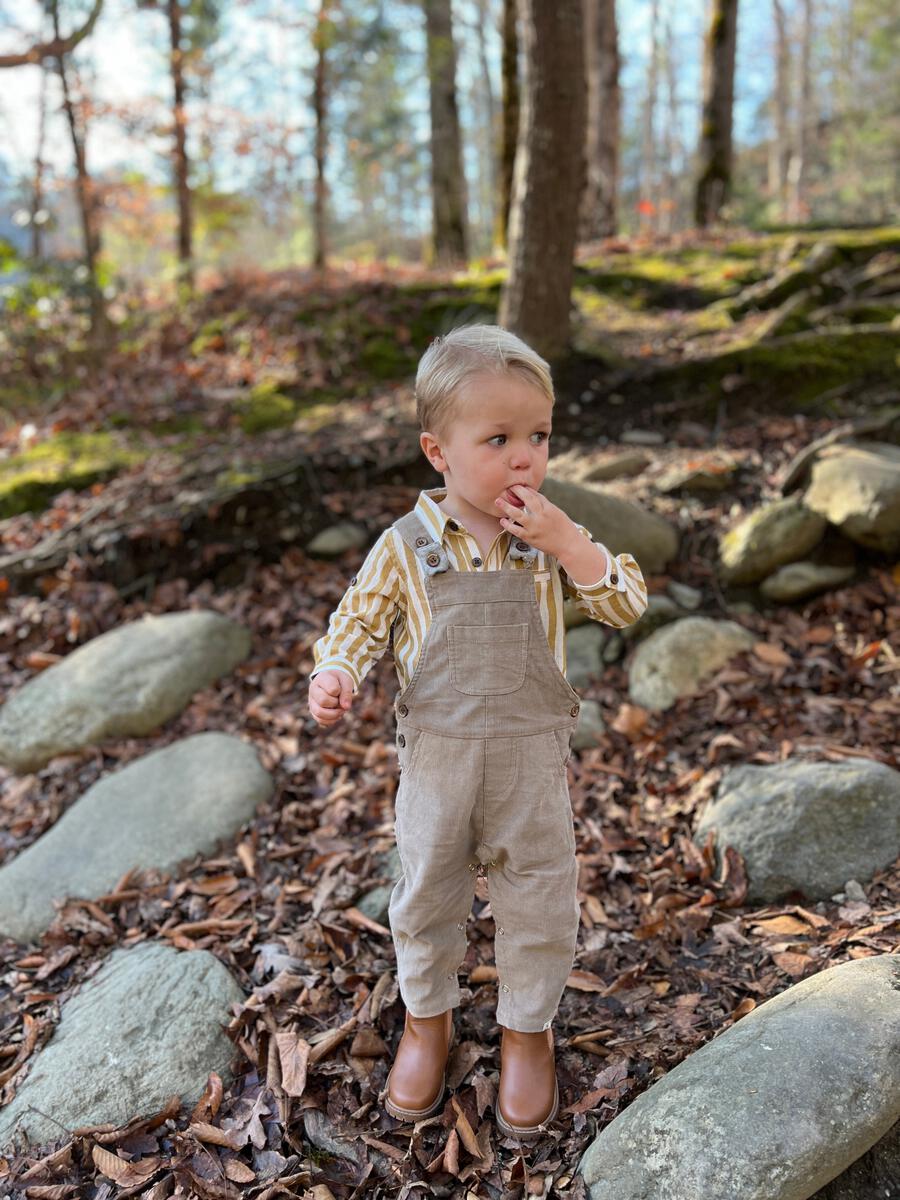 Harrison Cord Overalls | Grey