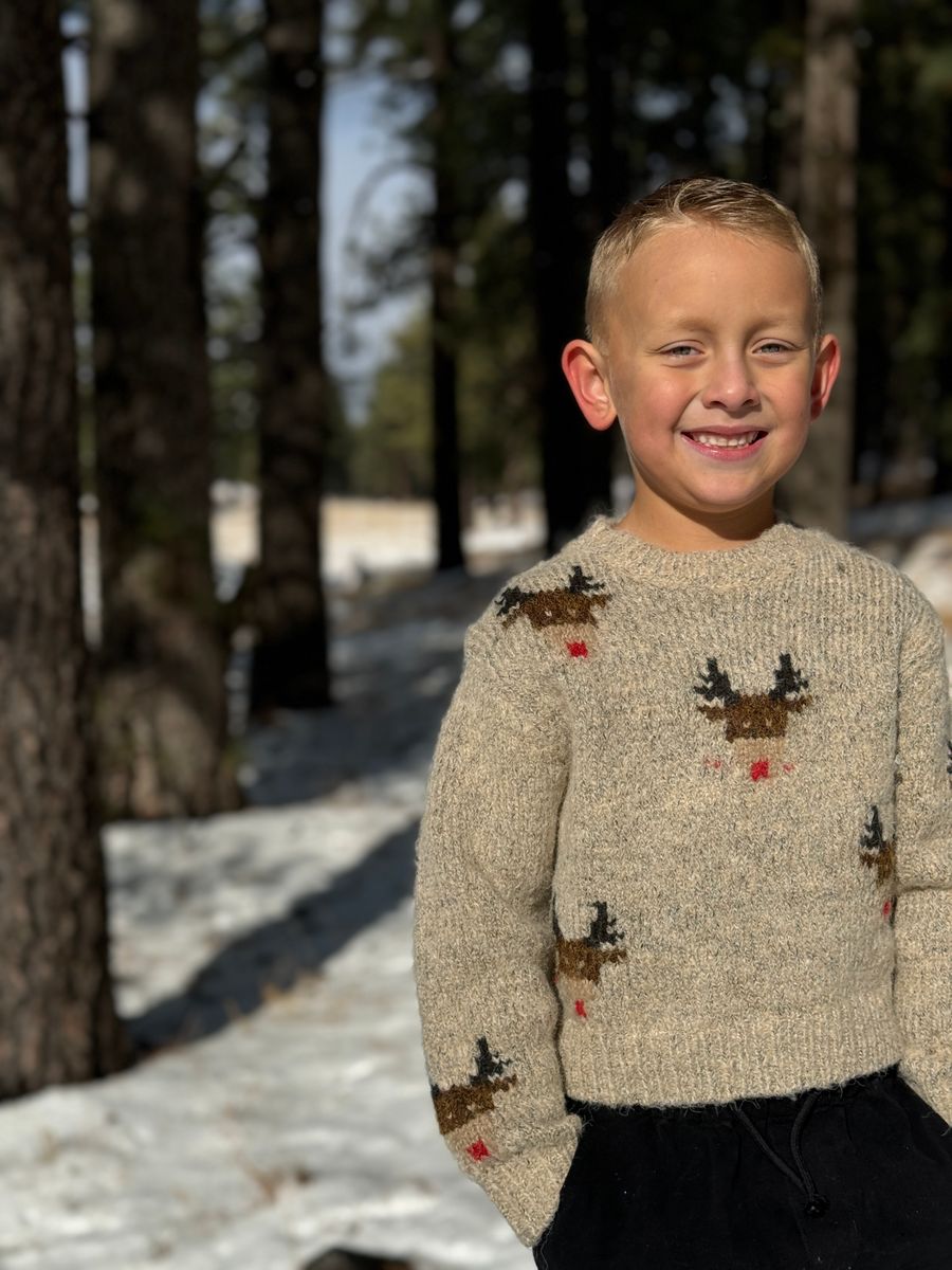 Rudy Beige Reindeer Sweater