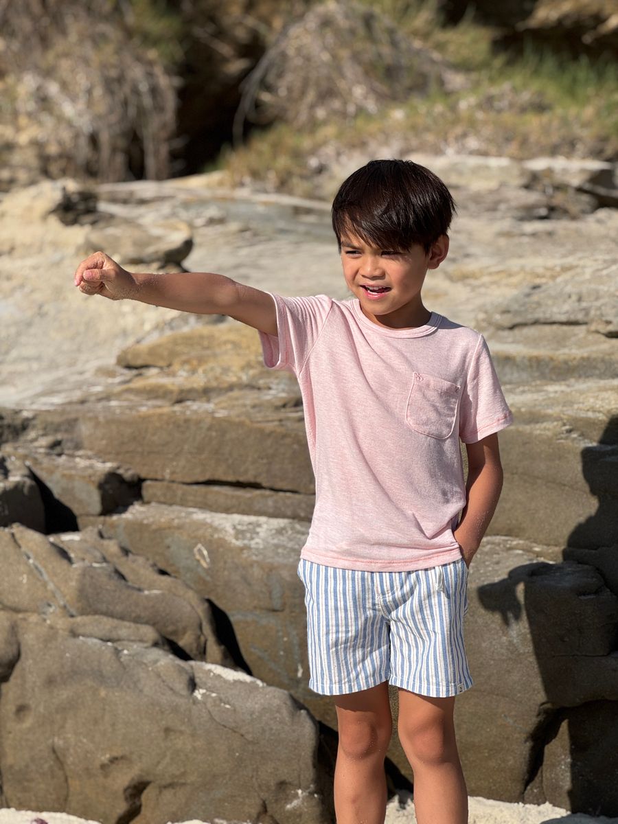 Crew Woven shorts |Blue stripe