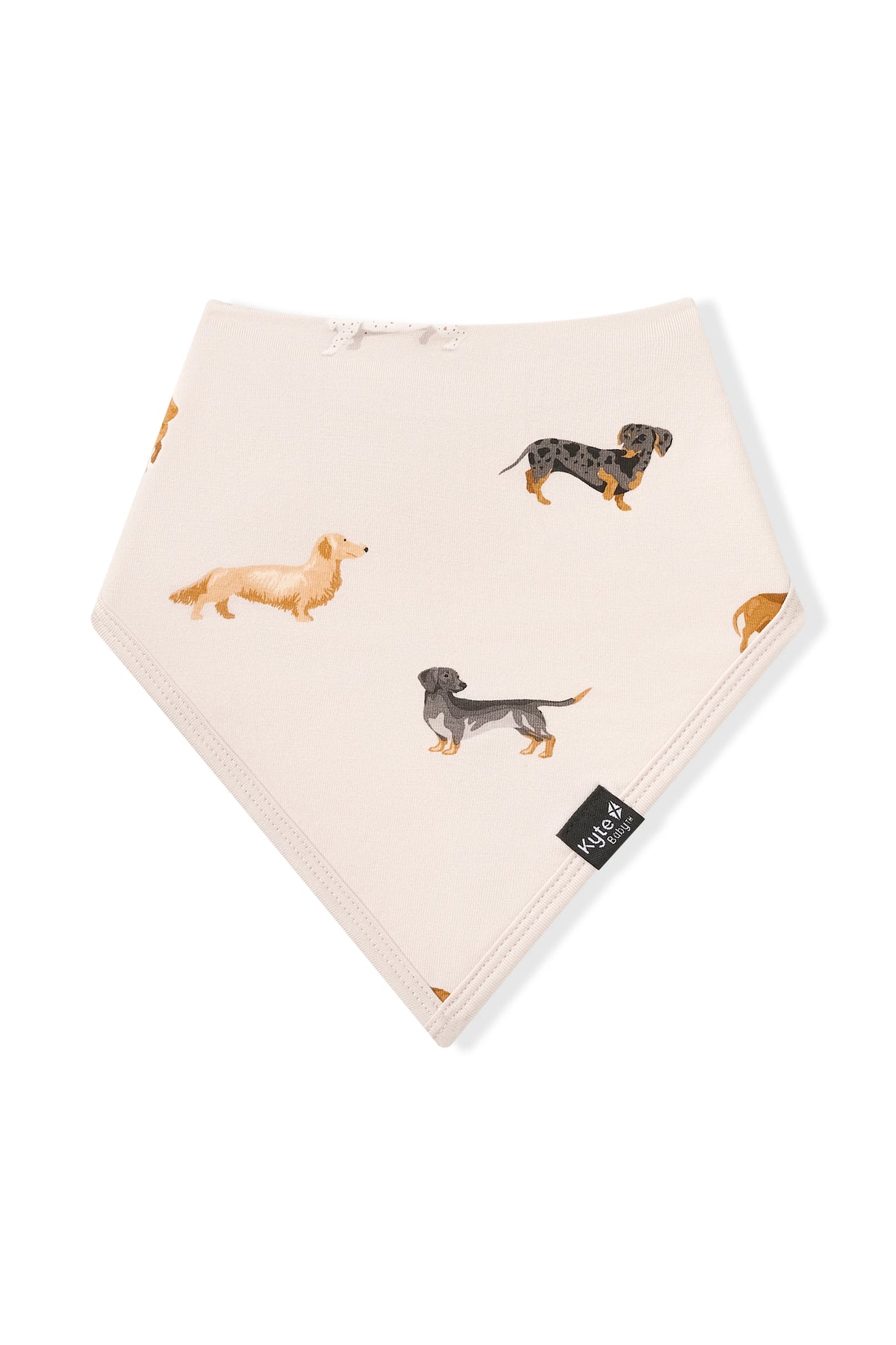 Bib || Dachshund