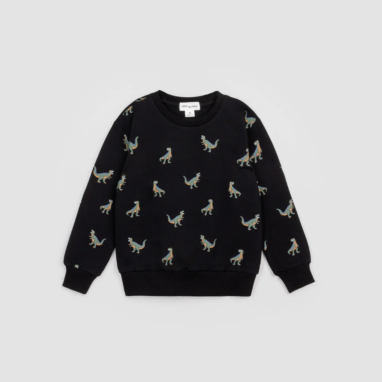 T-Rex Black Sweatshirt