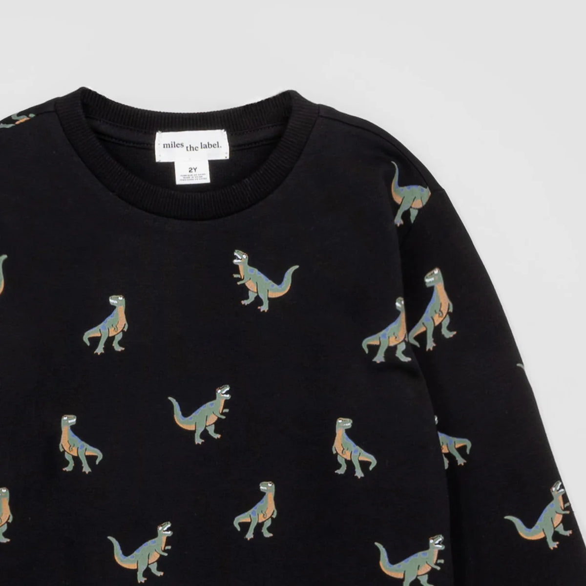 T-Rex Black Sweatshirt