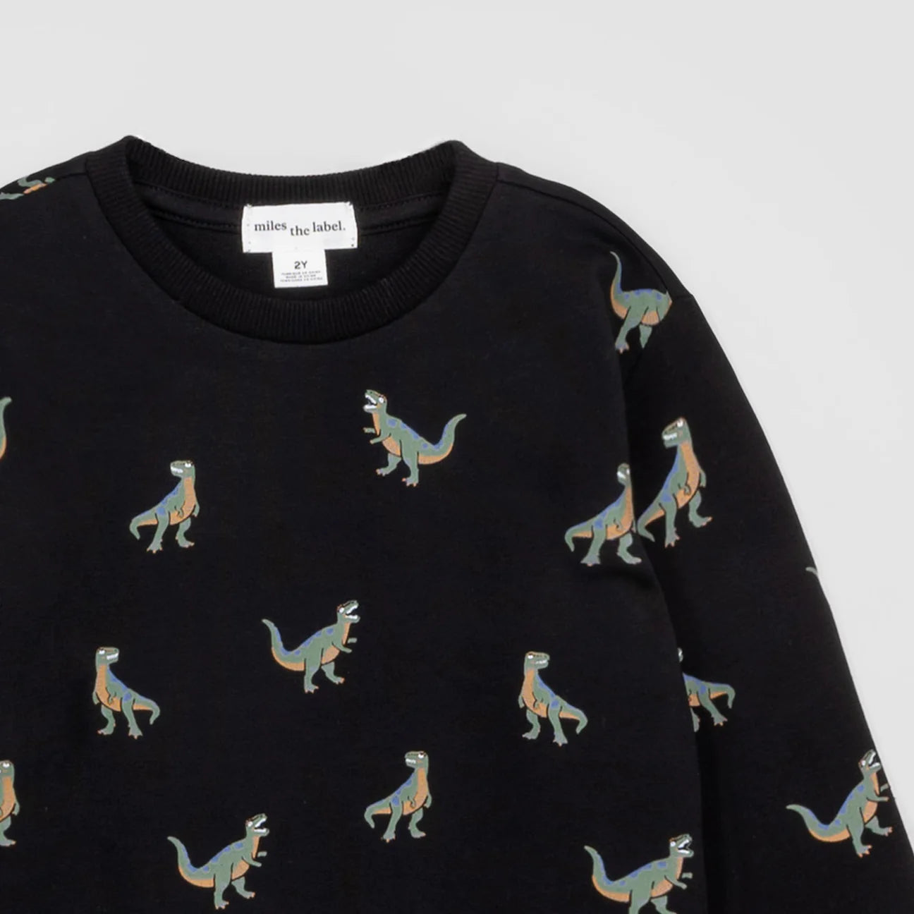 T-Rex Black Sweatshirt