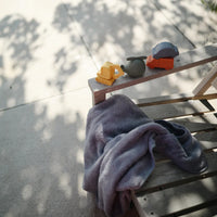 Mold Free Bath Play Set | Vehicles