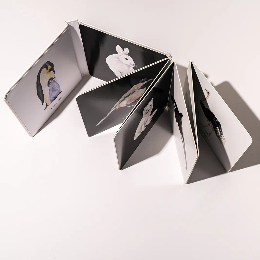 Black and White Contrast Book For Baby