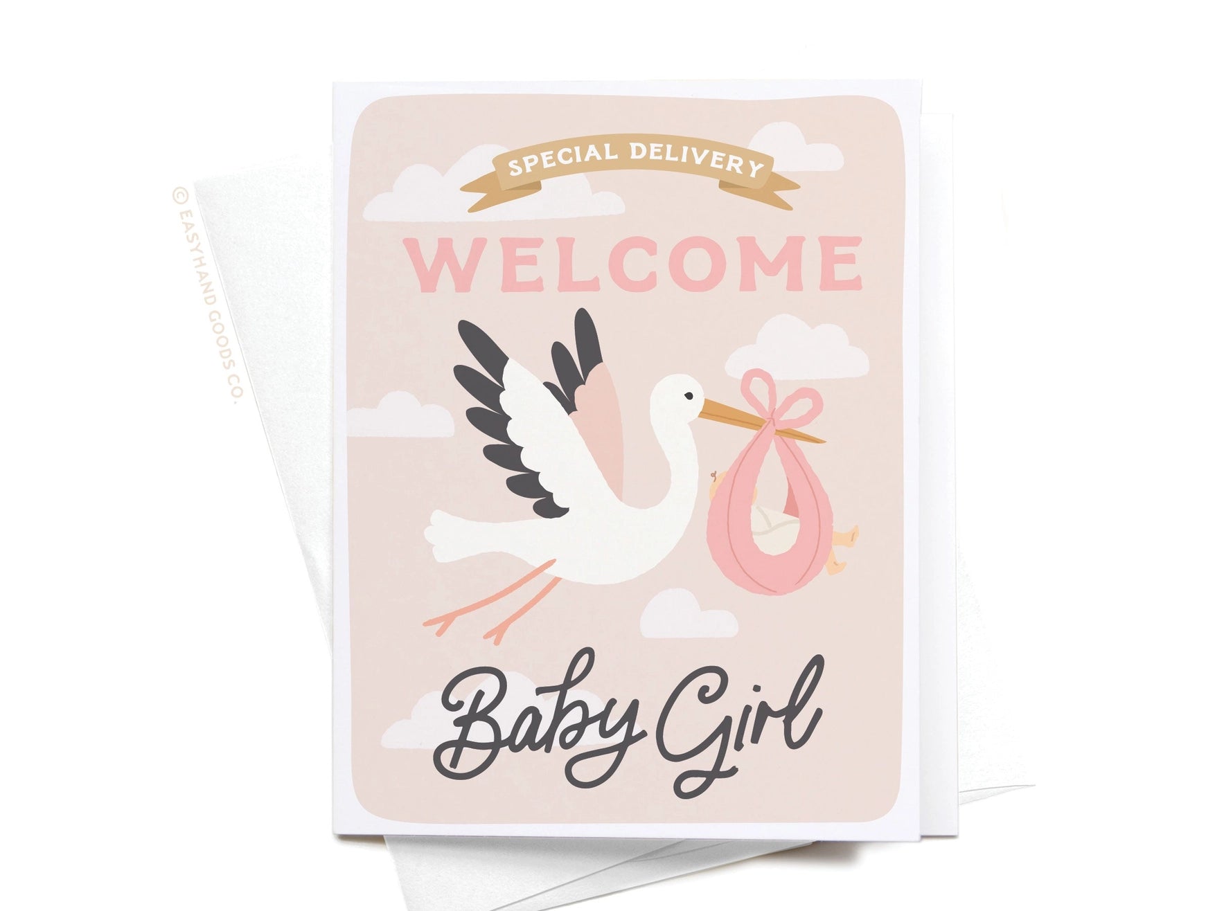 Special Delivery Welcome Baby Girl Greeting Card