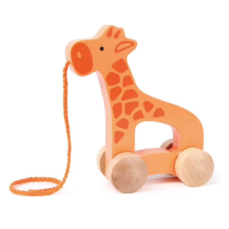 Giraffe Pull Toy