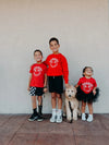 Arkansas Smiley Crewneck Pullover