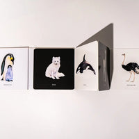 Black and White Contrast Book