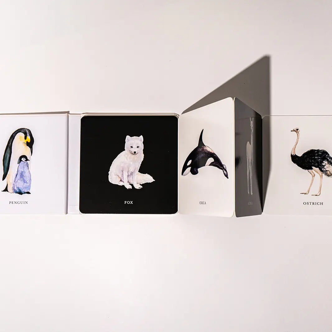 Black and White Contrast Book