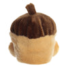 Oak Acorn