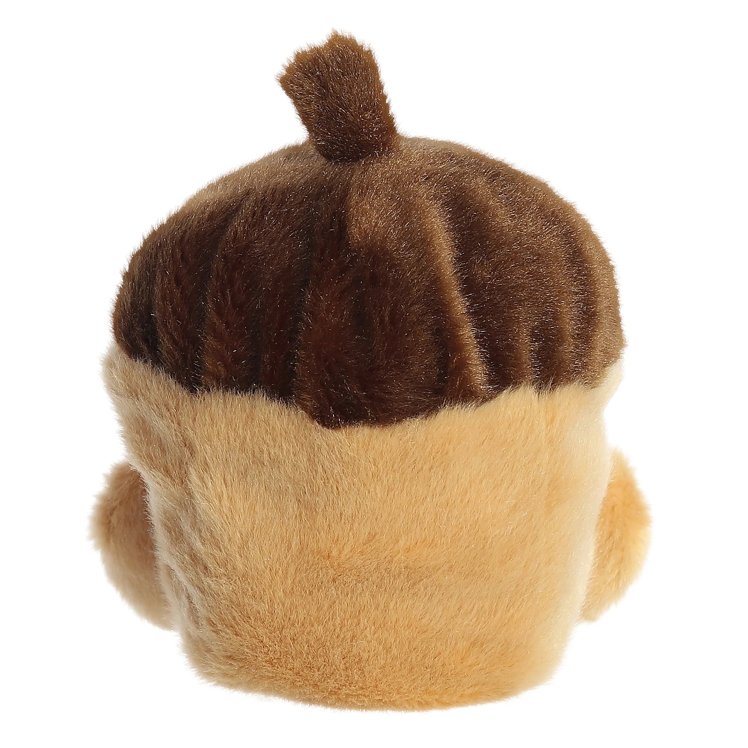 Oak Acorn