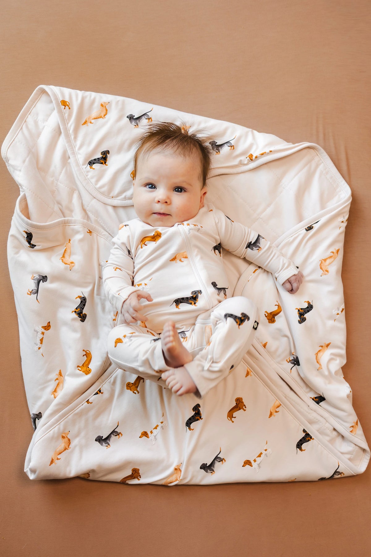 Baby Blanket - Dachshund