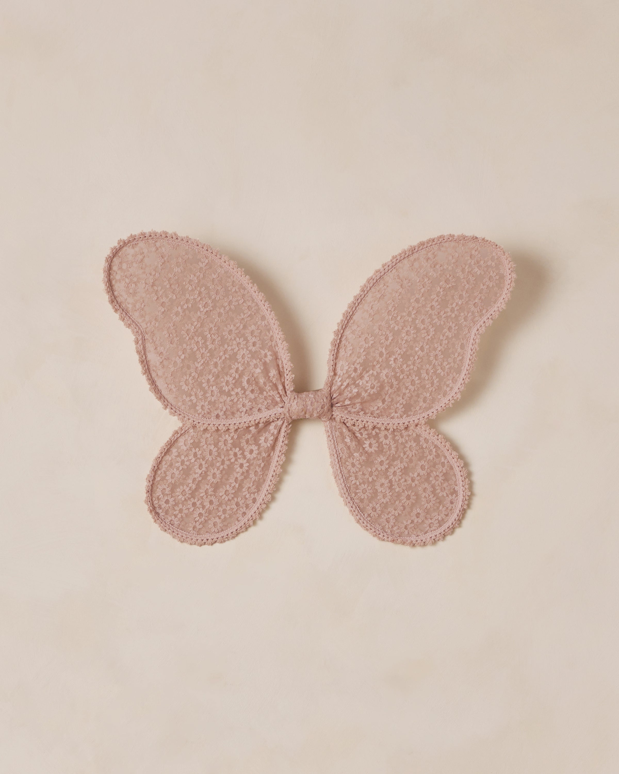 Wings | Rose Embroidered Daisy