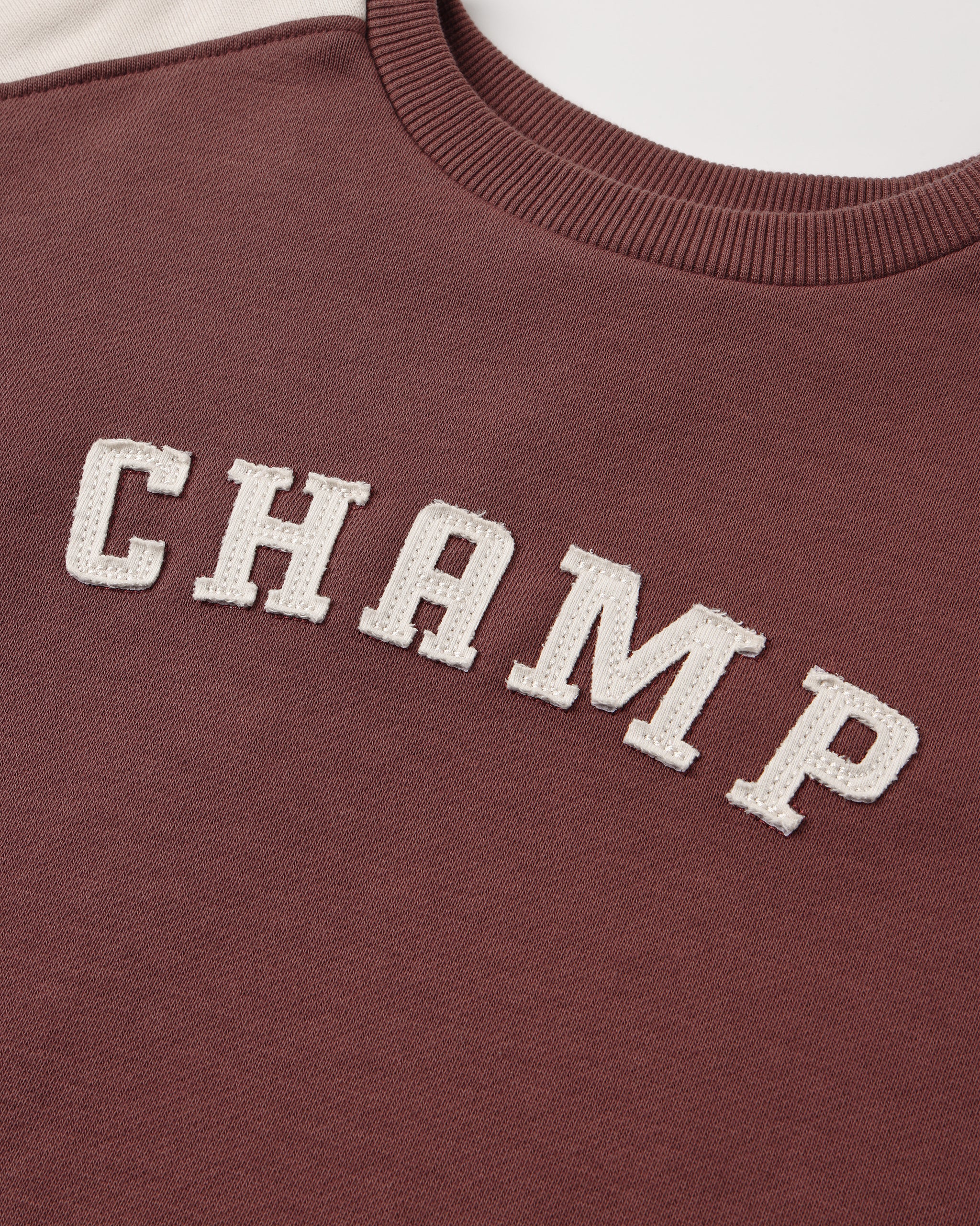 Hockey Sweatshirt Champ