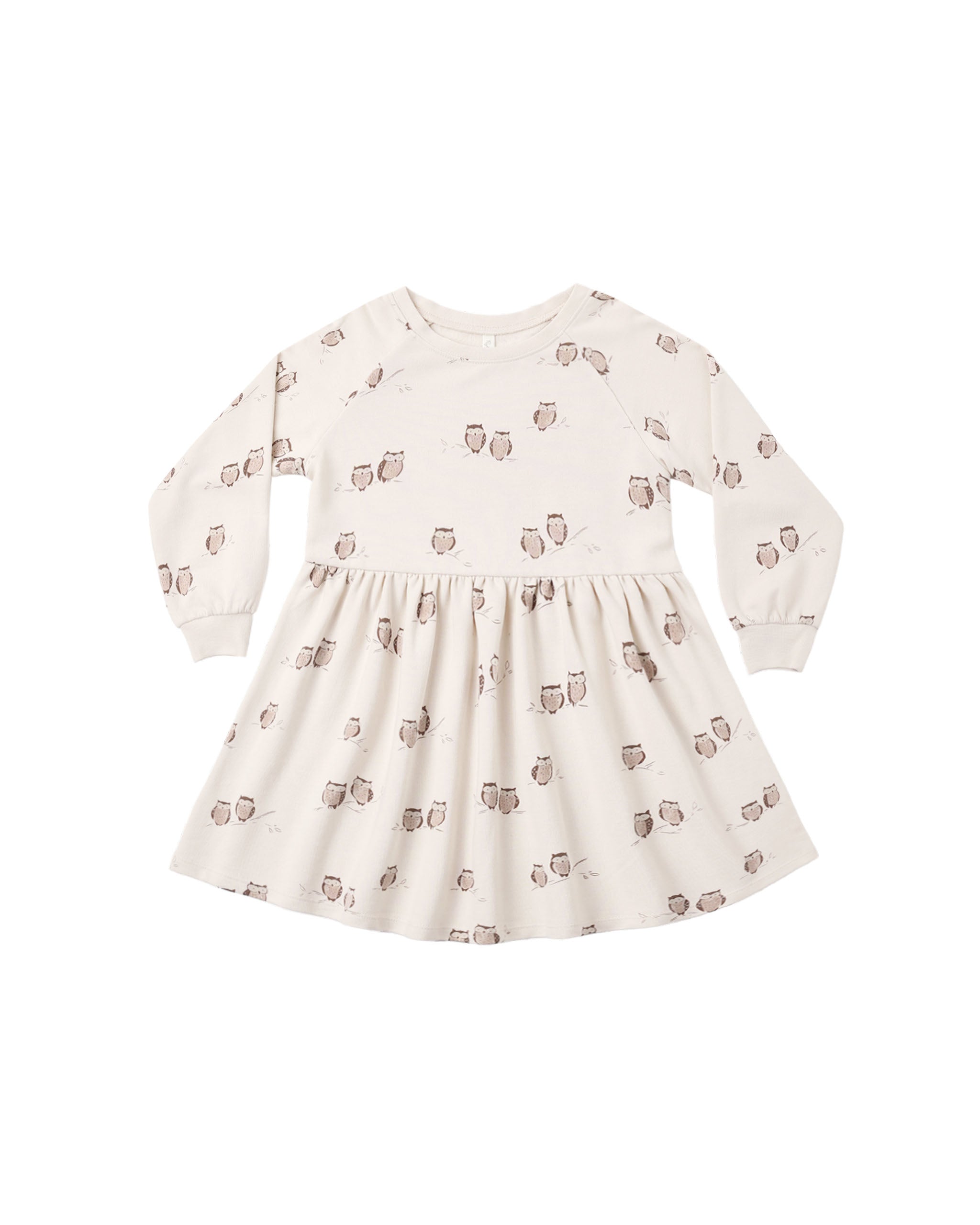 Raglan Dress Owls