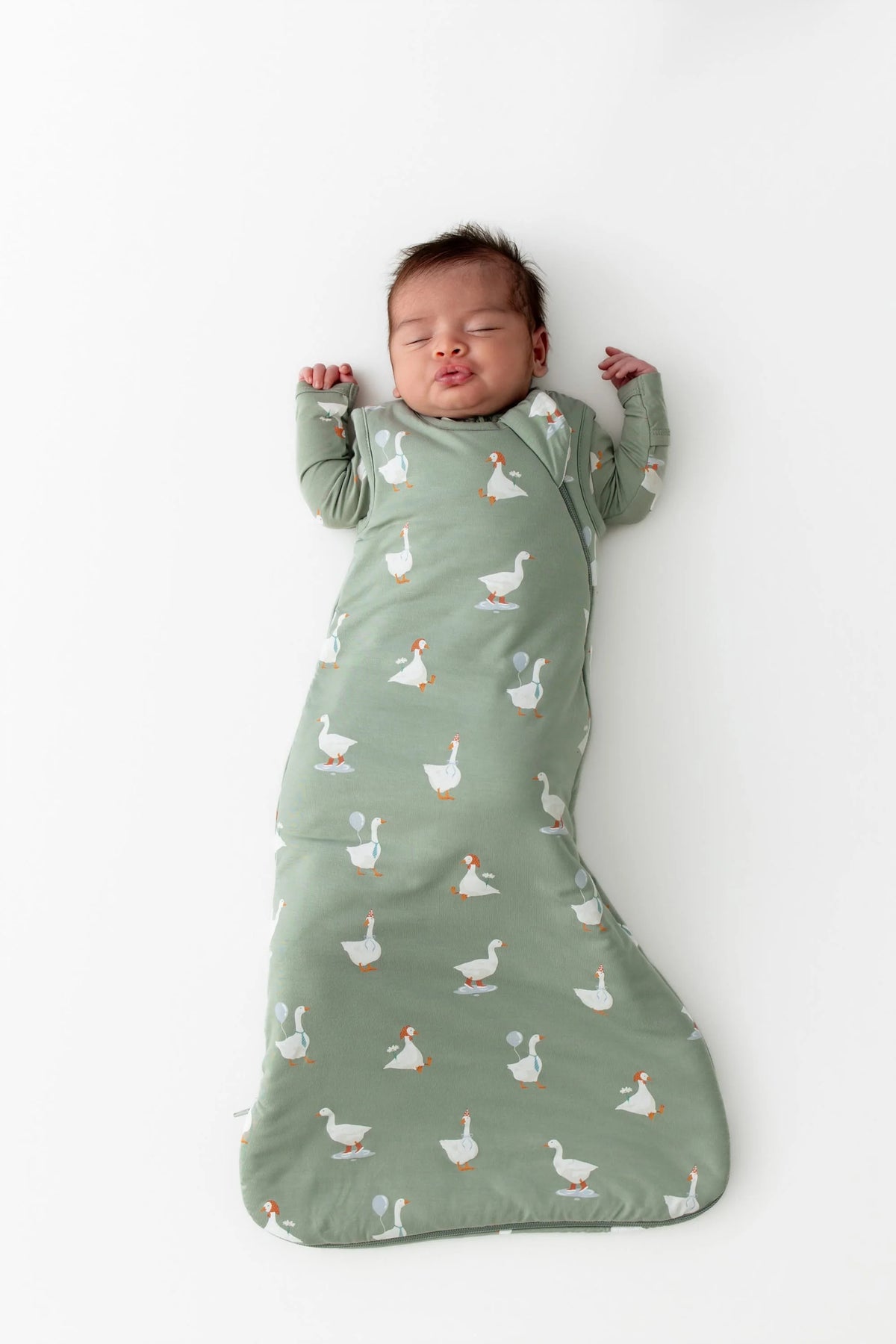 Sleep Bag || Silly Goose 1.0