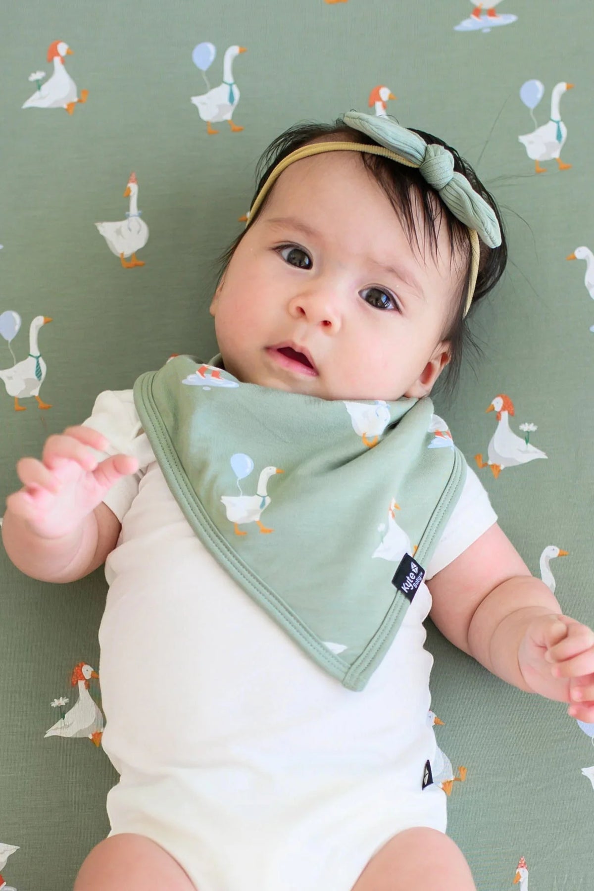 Bib || Silly Goose