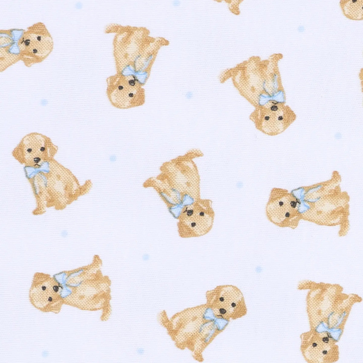Sweet Golden Print Bubble - Light Blue