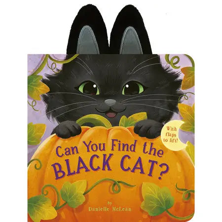 Can You Find the Black Cat?