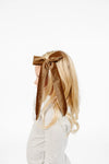 Velvet Sash - Cinnamon Bow Clip