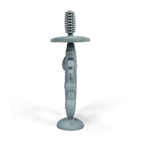 Training Toothbrush Oral Care Koala