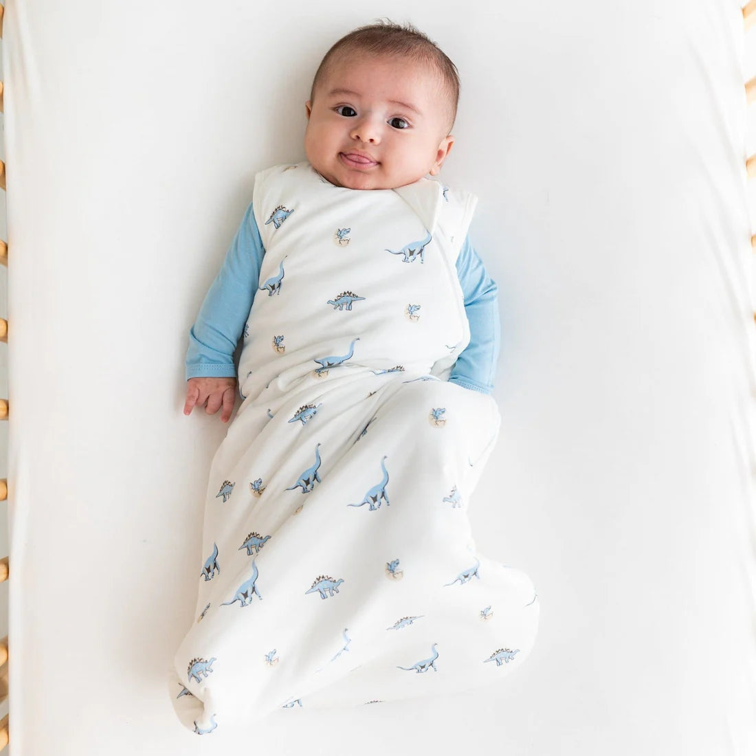 Sleep Bag || Jurassic 1.0