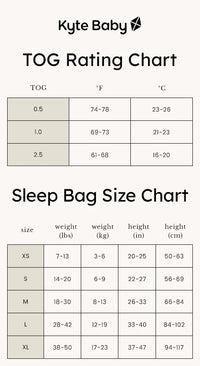 Sleep Bag | Raspberry 1.0