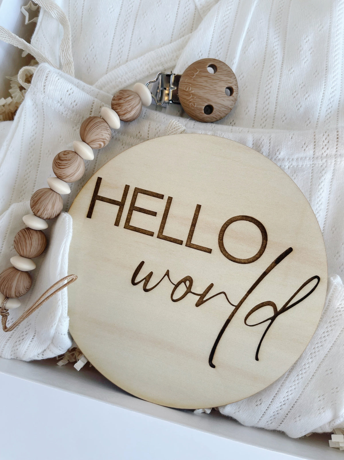 Hello World Baby Announcement Disc