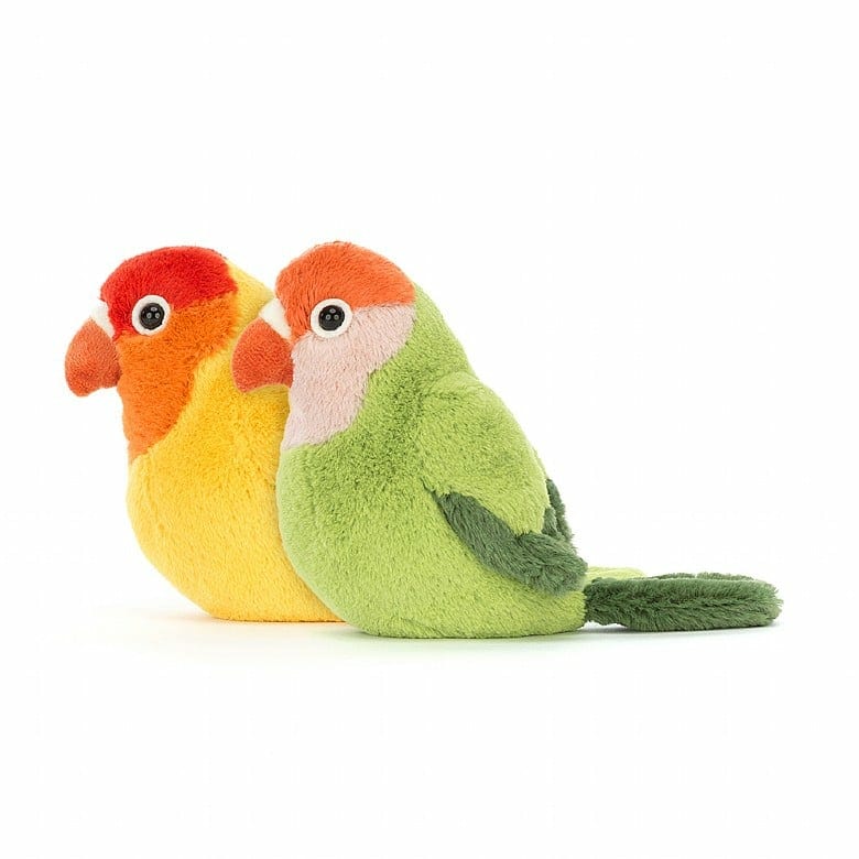 Pair of Lovely Lovebirds