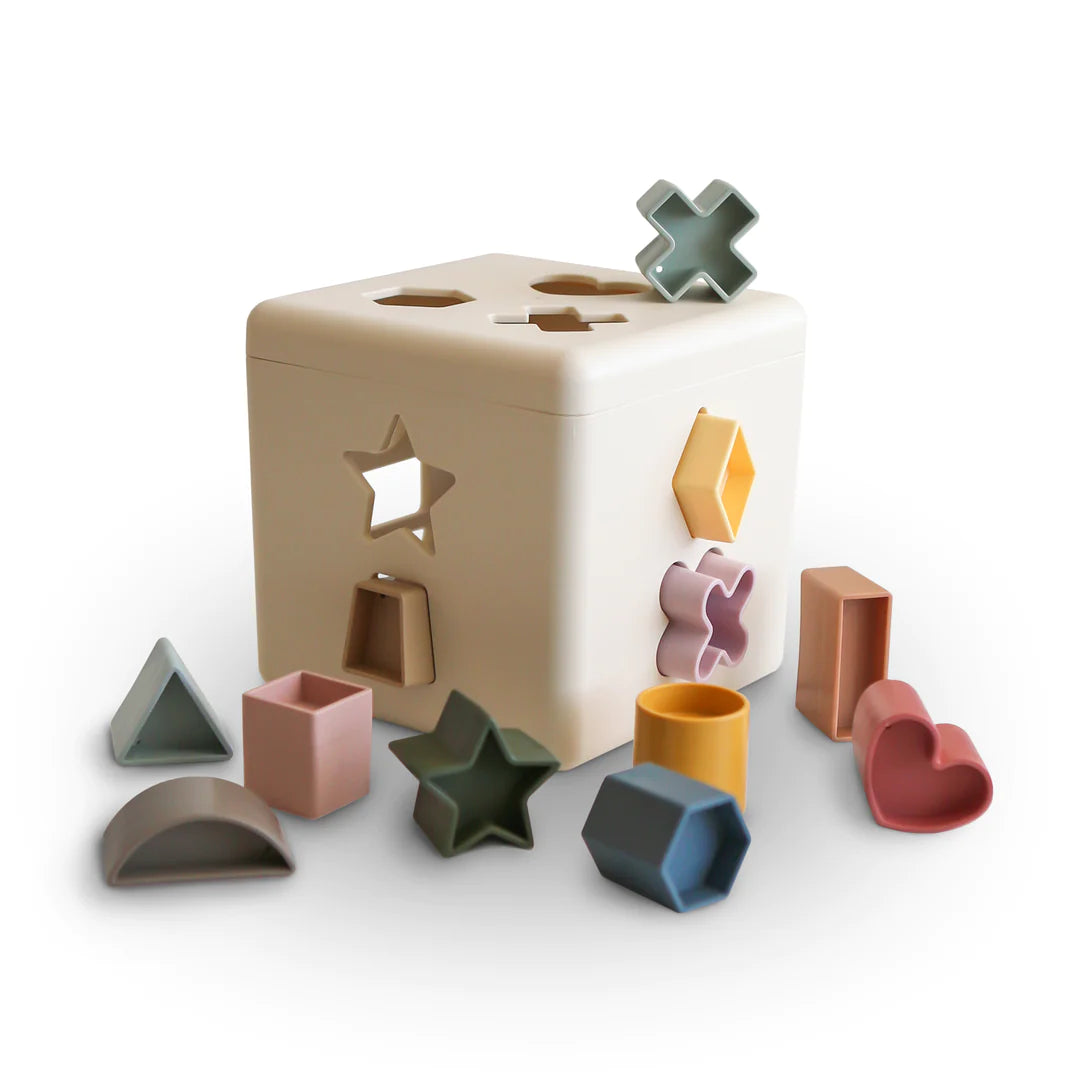 Shape Sorting Box