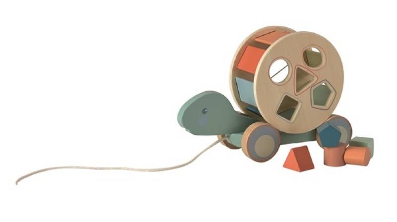 Pull-Along Turtle