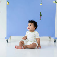 Short Sleeve Toddler Pajama Set | Dragonfly