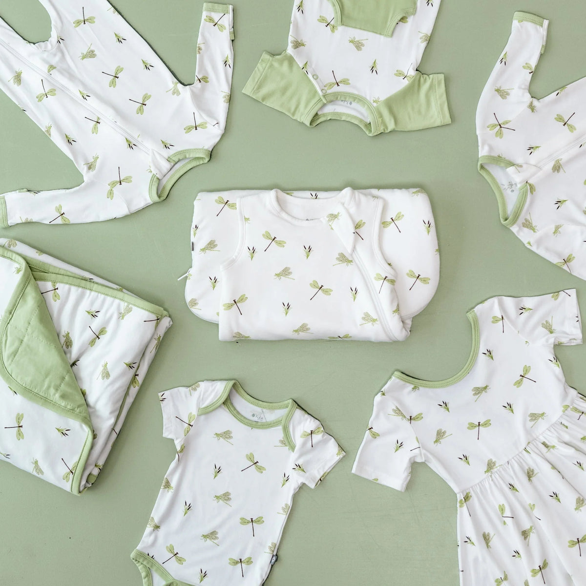 Shortall | Dragonfly