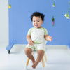 Shortall | Dragonfly