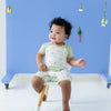 Shortall | Dragonfly