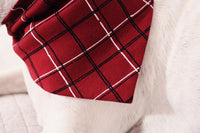 Organic Holiday Pet Badana in Santa Baby