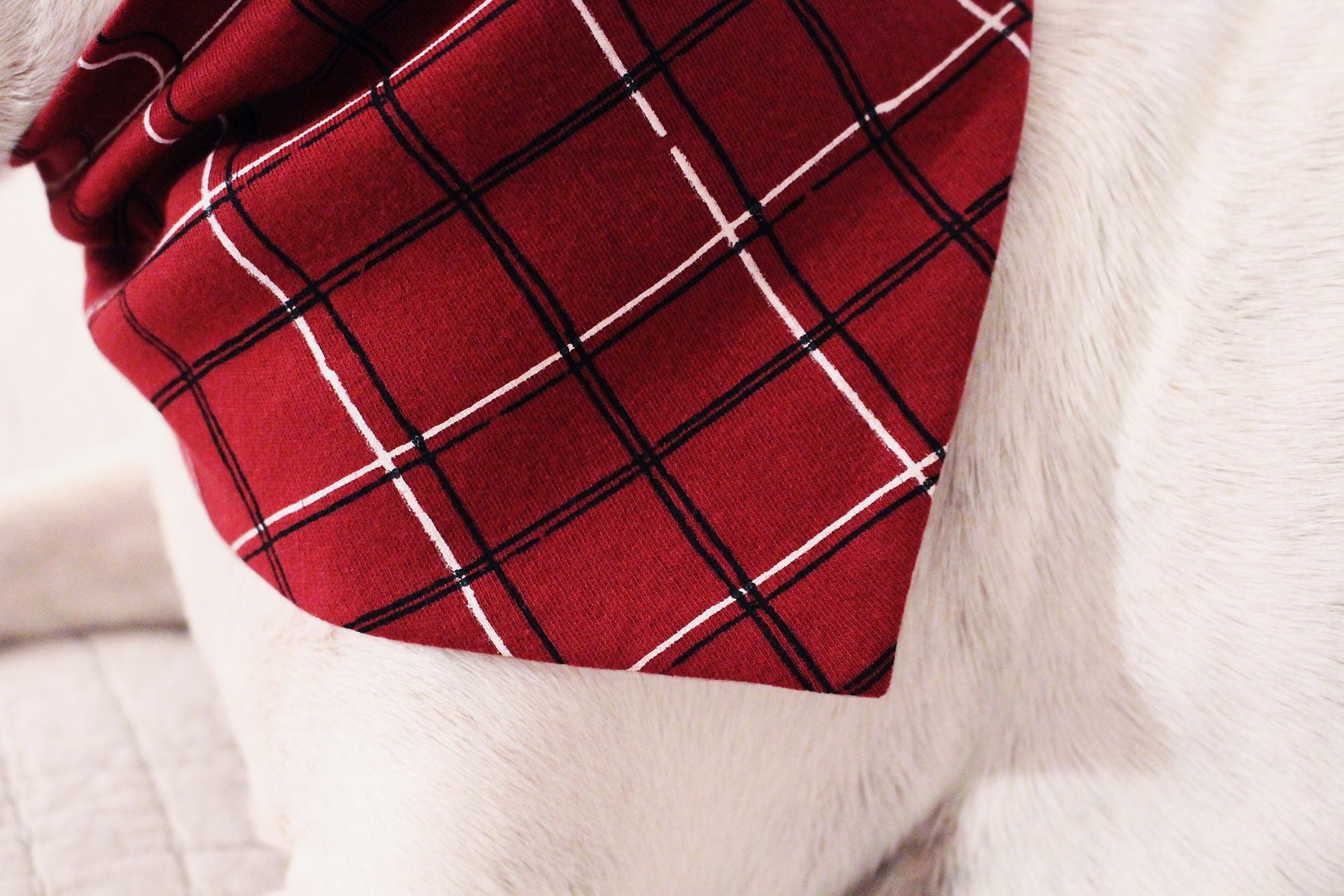 Organic Holiday Pet Badana in Santa Baby